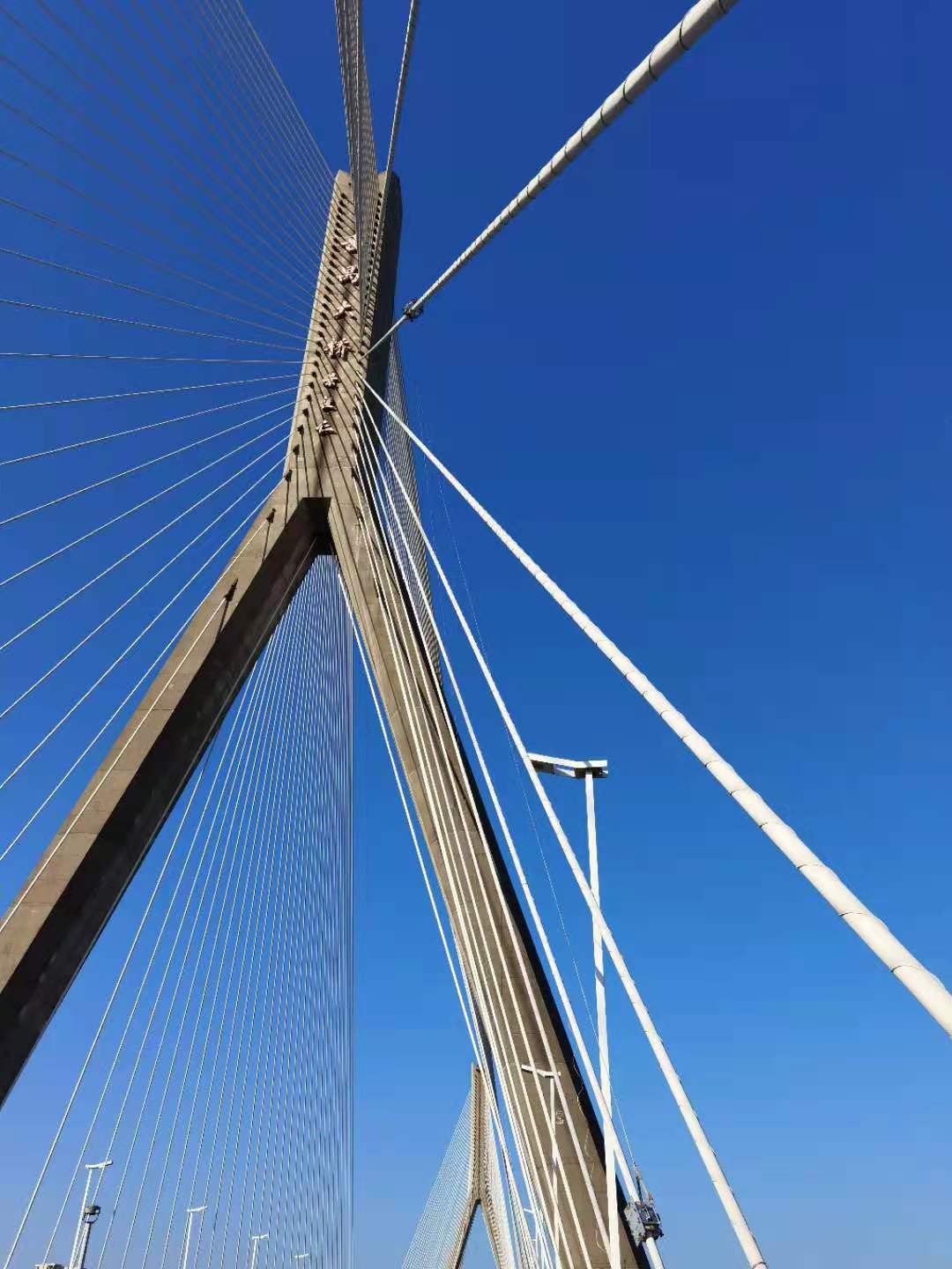 广州东沙大桥84根斜拉索外观检测